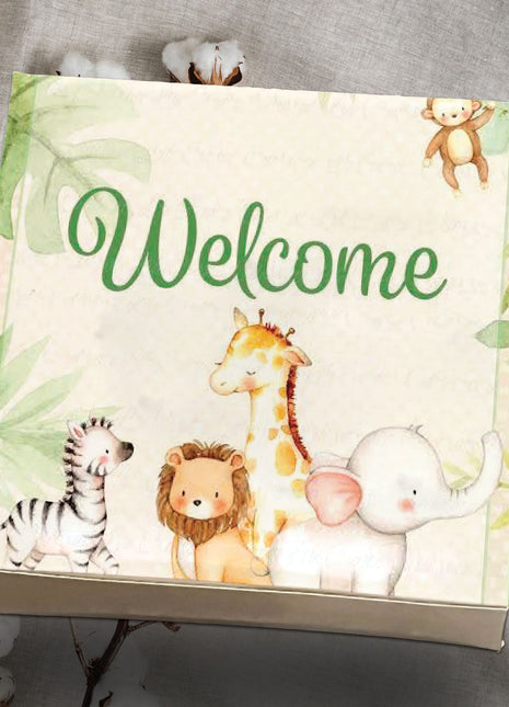 Baby Birth Announcement Boxes in Pakistan | Customized Methai & Sweet Boxes – Lowest Price
