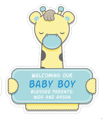 Baby Birth Announcement Boxes in Pakistan | Customized Methai & Sweet Boxes – Lowest Price