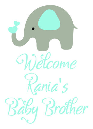 Customize Baby Shower Backdrop Flex