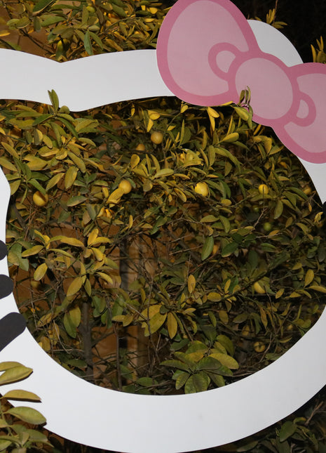 Customized Photo Booth